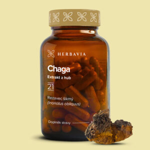Herbavia Čaga, chaga bylinný extrakt, 60 kapslí