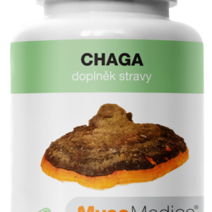 MycoMedica Chaga extrakt, 30 % polysacharidů a 4 % triterpenů, 90 rostlinných kapslí