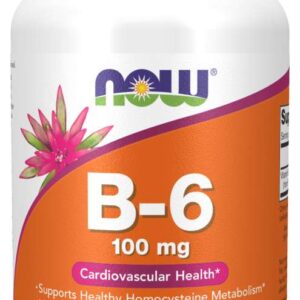 NOW Vitamin B6 Pyridoxin 100 mg, 250 kapslí