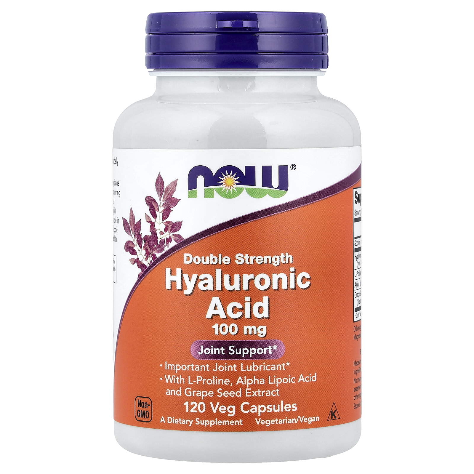 Now Foods Kyselina hyaluronová, 100 mg, 120 rostlinných kapslí