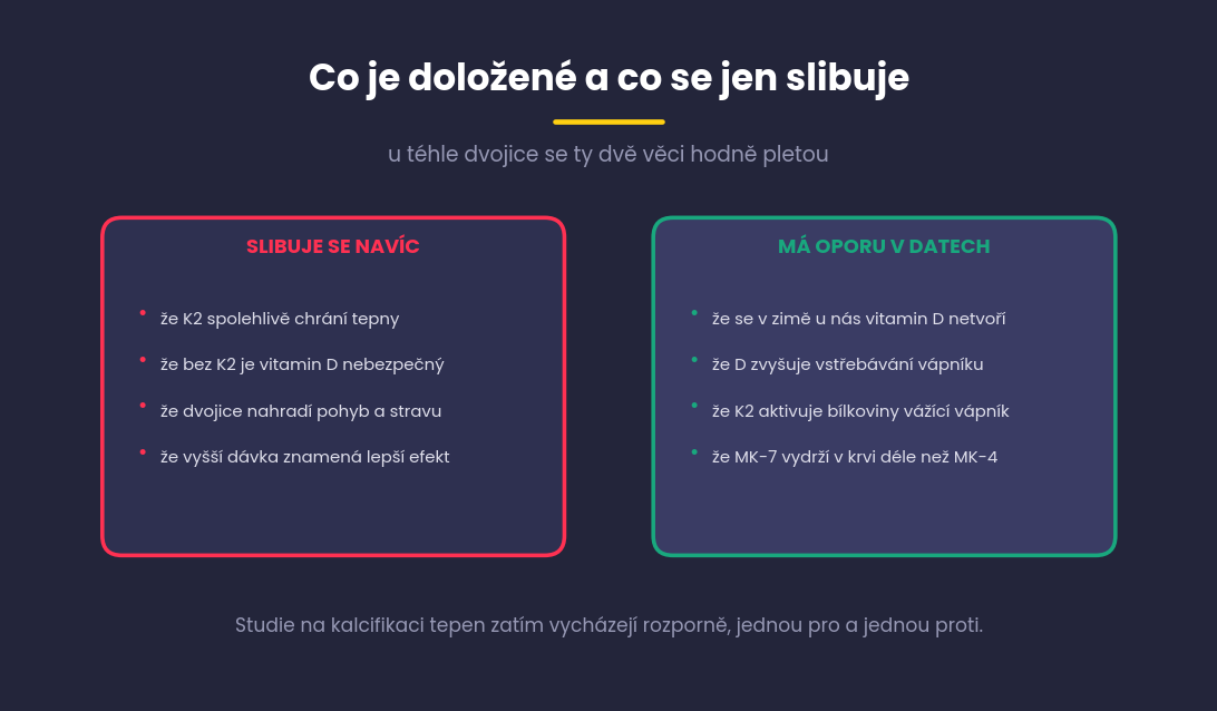 Dva panely, co se u vitaminu D3 s K2 slibuje navíc a co má oporu v datech