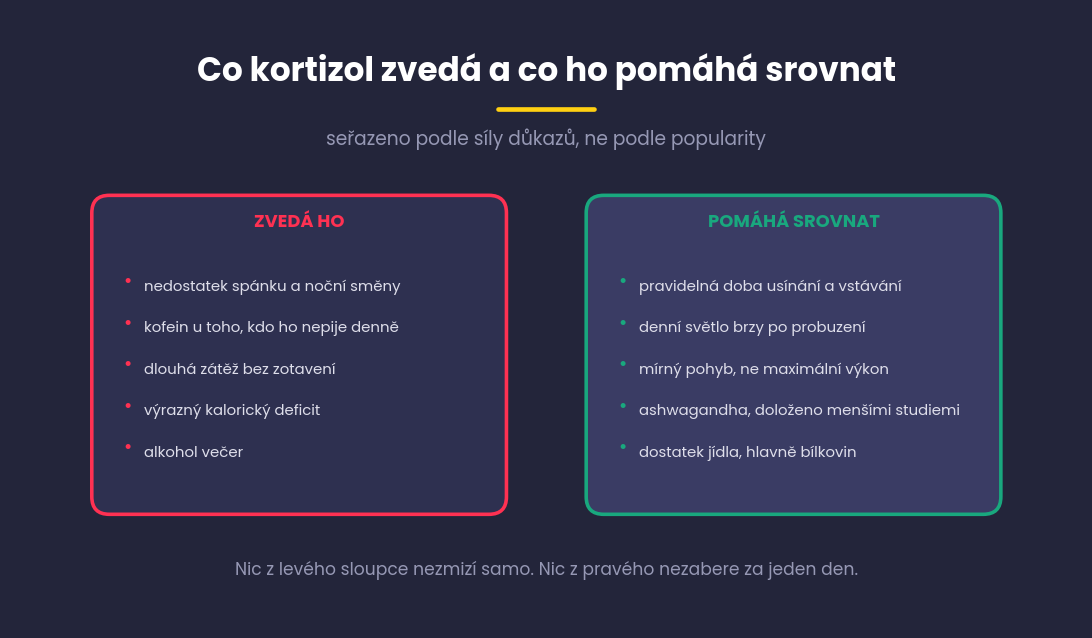 Dva panely, co kortizol zvedá a co ho pomáhá srovnat