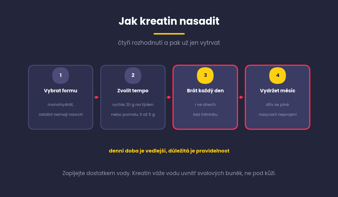 Čtyři kroky nasazení kreatinu, vybrat formu, zvolit tempo, brát každý den a vydržet měsíc
