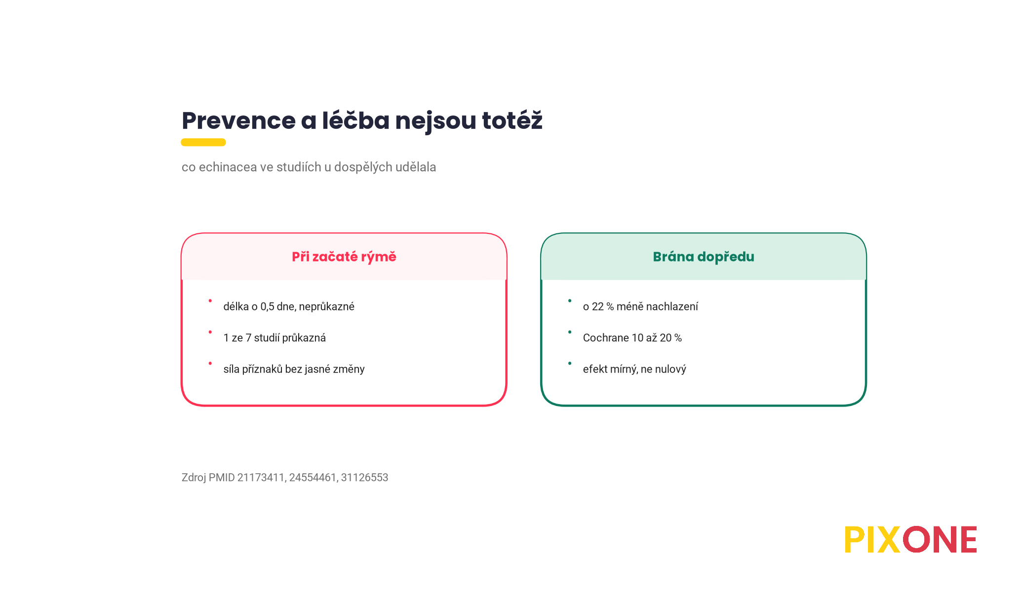 Srovnání, co echinacea podle studií dělá v prevenci a co při léčbě začatého nachlazení