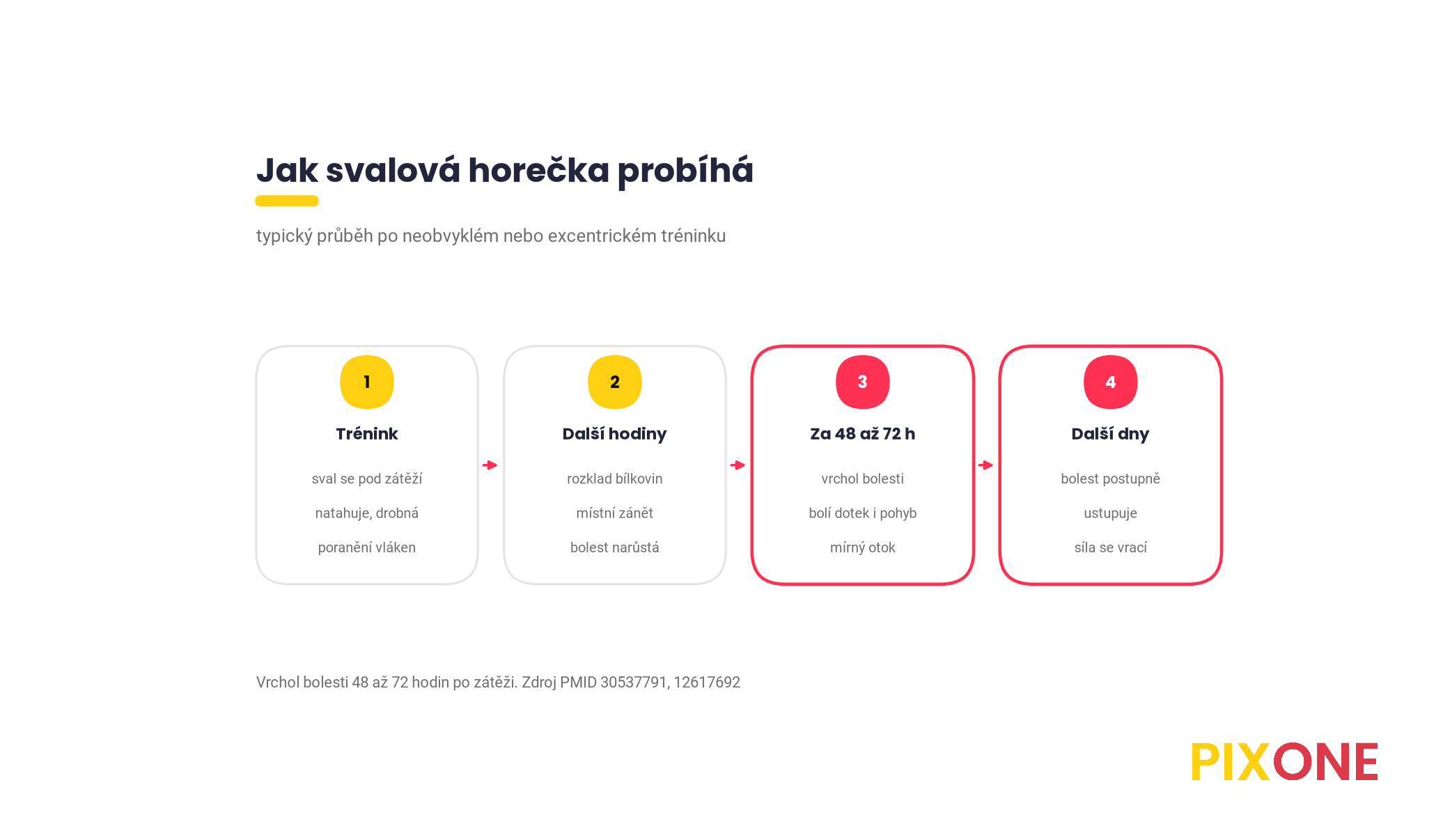 Časová osa svalové horečky, trénink s drobným poraněním vláken, v dalších hodinách zánět a narůstající bolest, za 48 až 72 hodin vrchol bolesti a ztuhlosti, potom postupné odeznění, podle přehledu Hotfiel 2018